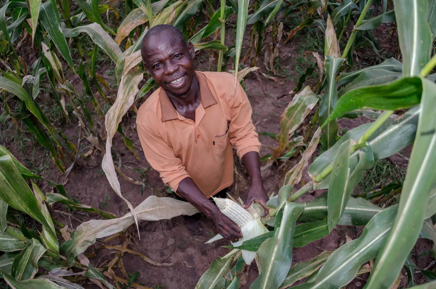 Farmer